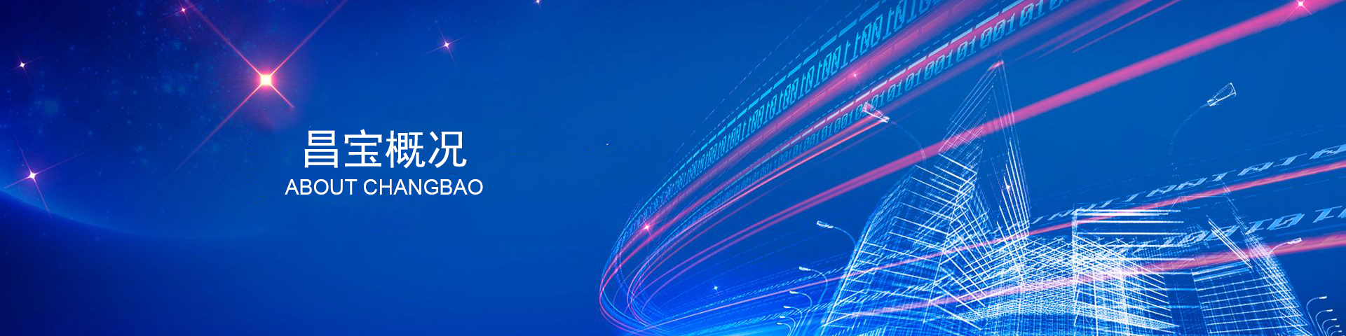 公司简介banner